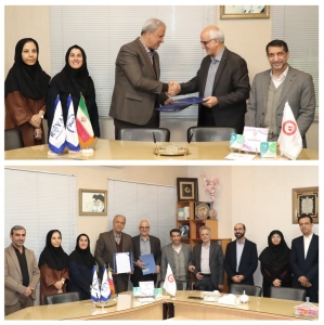 اكتمال سلسلة الابتكار التكنولوجي: من شرارة البحث إلى ولادة المنتج