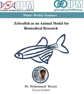 الدكتور محمد رضايي، باحث في نماذج الحيوانات لأبحاث العلوم الطبية الحيوية في رويان، يلقي محاضرة في معهد العلوم الأساسية (IPM)