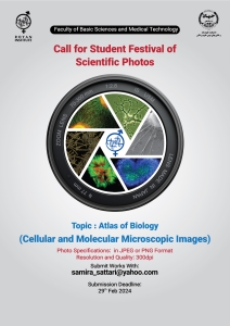 First Student Festival of Scientific Photos